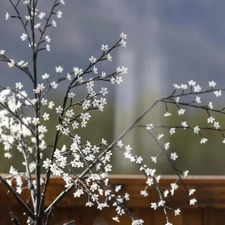 Nationalpark Hoher Sonnblick