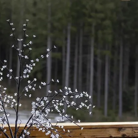 Nationalpark Hoher Sonnblick Semesterbostad Neukirchen am Großvenediger