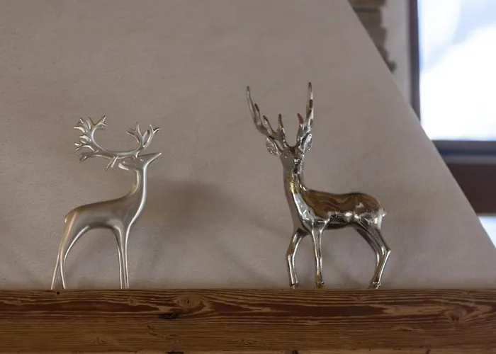 Vakantiehuis Nationalpark Hoher Sonnblick *