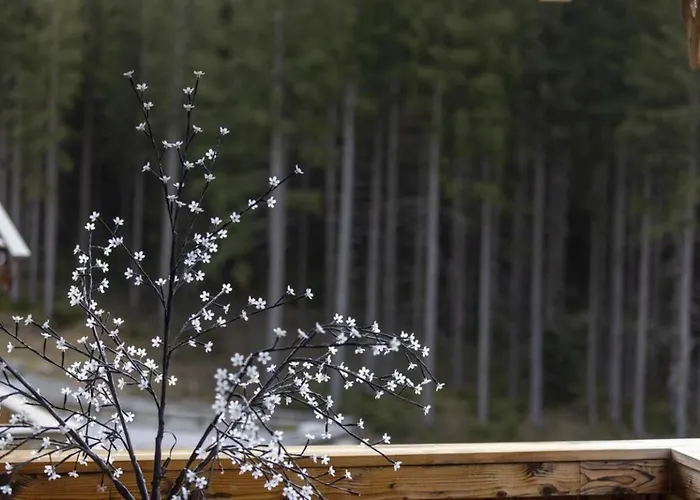 Nationalpark Hoher Sonnblick Vakantiehuis Neukirchen am Großvenediger
